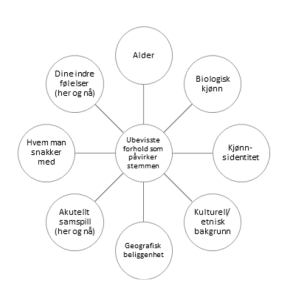 stemme1